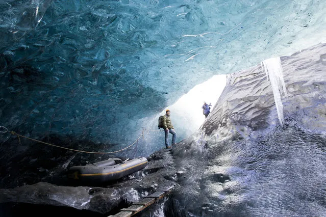 A wide view of Rob Lott emerging from the crystal ice cave in the Vatnajokull Glacier, Iceland. (Photo by Rob Lott/Barcroft Media)