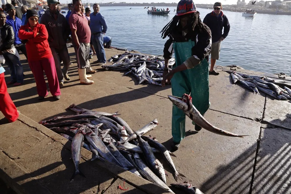 Daily Life at Lambert’s Bay