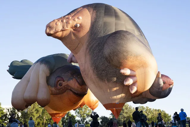 People watch the Skywhale and Skylwahlepapa hover during the world premiere on February 7, 2021 in Canberra, Australia. Skywhalepapa is the latest hot air balloon creation by artist Patricia Piccinini and is a companion piece to Skywhale. Skywhalepapa is as tall as a seven-story building and used 3.6km of fabric in the construction of the envelope. The 1.5m wide fabric was cut into 2343 panels to create the balloon. (Photo by Jamila Toderas/Getty Images)