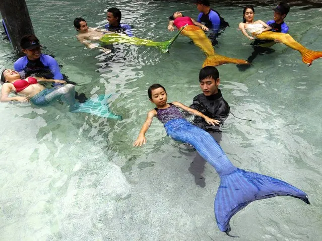 Filipino instructors teach participants how to swim like mermaids during the “Mermaid Swim Experience” at Manila Ocean Park. (Photo by Ritchie B. Tongo/EPA)