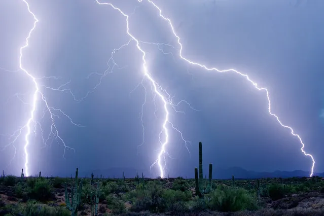 Lightning strikes in the desert near the Four Peaks mountain range and Saguaro Lake in July 2012. (Photo by Mike Olbinski/Barcroft Media)