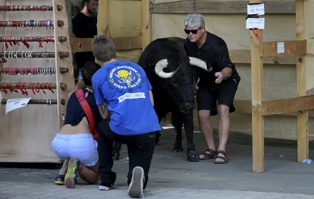 A man taking a photo with a stuffed bull in Pamplona, northern Spain, July 5, 2015. The annual week-long San Fermin festival starts July 6, with the first bull run taking place the morning of July 7. (Photo by Eloy Alonso/Reuters)