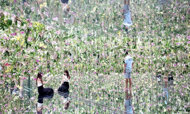 An immersive digital artwork is displayed at the teamLab Planets Tokyo museum in Tokyo on Wednesday, July 10, 2024. TeamLab Planets Tokyo is recognized by Guinness World Records as the most visited museum and teamLab announced they would open an annex of the teamLab Planets Tokyo early next year. (Photo by Yoshio Tsunoda/AFLO/Rex Features/Shutterstock)