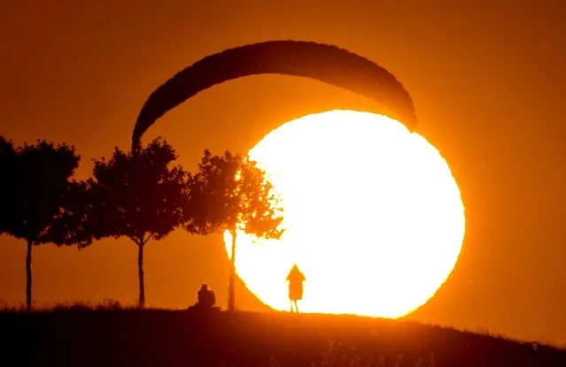 A photograph made available on 02 July 2015 showing a paraglider lands at sunset at Kronsberg in Hannover, Germany 01 July 2015. (Photo by Julian Stratenshulte/EPA)
