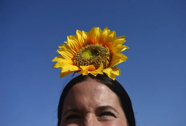 A pilgrim sporting a sunflower looks on as she crosses the Quema river during the annual El Rocio pilgrimage in Villamanrique, near Sevilla on June 1, 2017. (Photo by Cristina Quicler/AFP Photo)