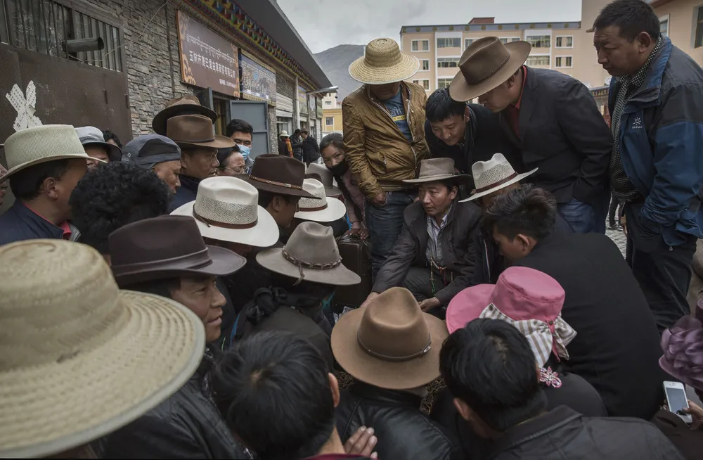 Cordyceps Fungus Hunters on the Tibetan Plateau