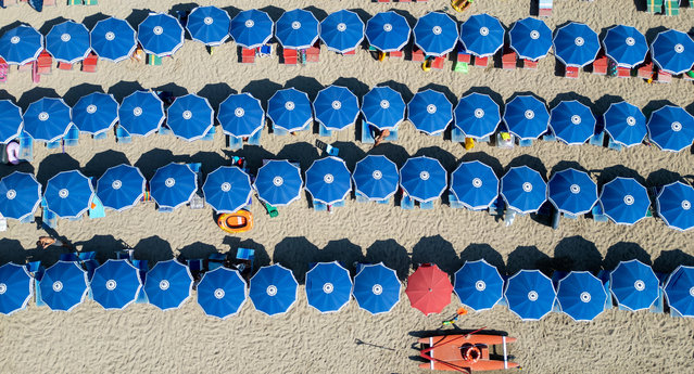 A drone view shows umbrellas on a beach in Santa Marinella, north of Rome, Italy, on August 13, 2024. (Photo by Guglielmo Mangiapane/Reuters)