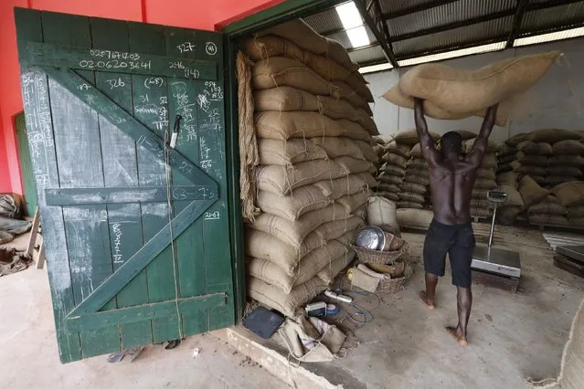 A worker carries a cocoa bag at a warehouse in Dabisso June 18, 2014. Last season, after a brief 2011 civil conflict ended years of political turmoil, its new President Alassane Ouattara ushered in reforms that established a single marketing board, the Coffee and Cocoa Council (CCC), to manage the sector. (Photo by Thierry Gouegnon/Reuters)