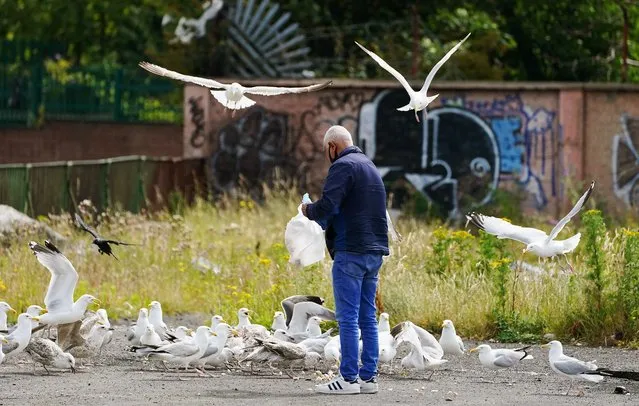 A man feeds gulls in O'Devaney Gardens on a sunny day in Dublin on Friday, July 8, 2022. (Photo by Brian Lawless/PA Wire Press Association)