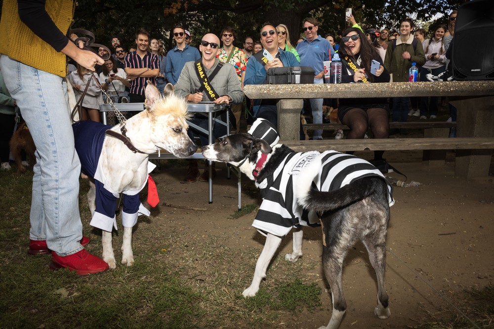 Pictures of the Year 2023, Part 178/224