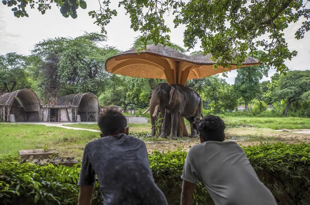 India last Week, Part 1/2