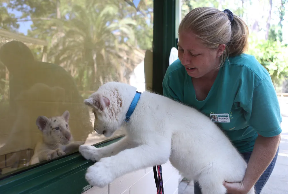 The Week in Pictures: Animals, September 6 – September 13, 2014