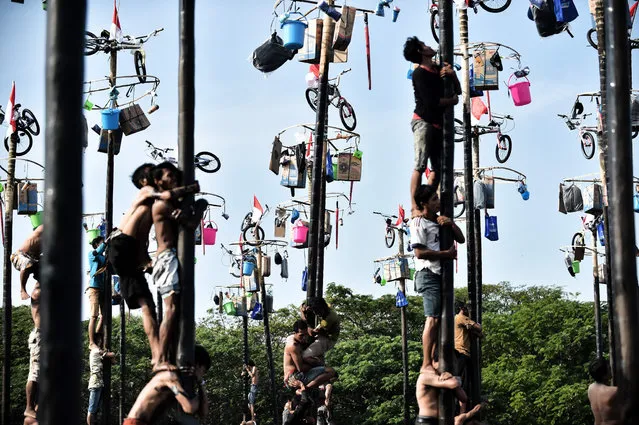 Participants struggle to reach the prizes on the top of greasy slippery poles in Jakarta on August 17, 2016, as part of Indonesia's celebrations to mark its 71st independent day anniversary. (Photo by Bay Ismoyo/AFP Photo)