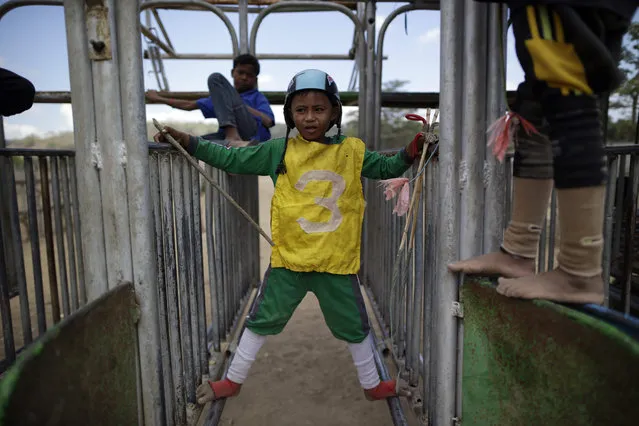 An Indonesian child jockey stands on a starting gate shortly before a traditional horse race marking Indonesia's 70th independence anniversary, in Bima, West Nusa Tenggara province, Indonesia, 09 August 2015. (Photo by Mast Irham/EPA)