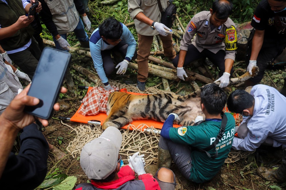 A Look at Life in Indonesia