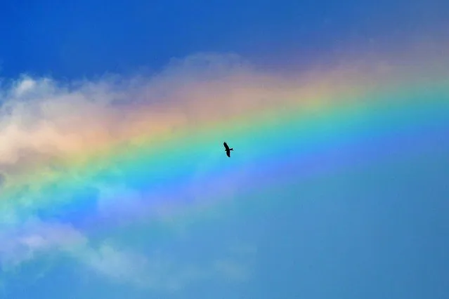 A kite flies against the backdrop of a rainbow in Guwahati on September 7, 2022. (Photo by Biju Boro/AFP Photo)
