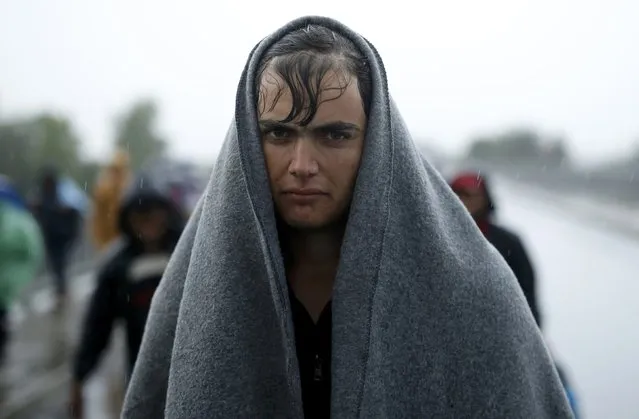 A migrant protects himself from the rain as he walks towards the Hungarian border after arriving at the train station in Botovo, Croatia September 24, 2015. A trade war erupted between Serbia and Croatia on Thursday over the flow of migrants across their border, dragging relations between the ex-Yugoslav republics to their lowest ebb since the overthrow of late Serbian strongman Slobodan Milosevic in 2000. (Photo by Antonio Bronic/Reuters)