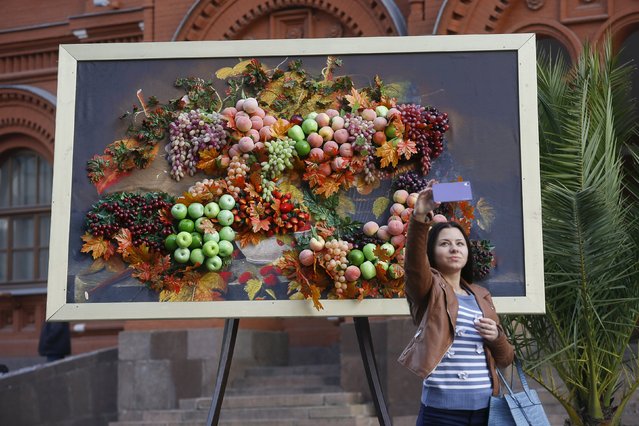 A woman takes a selfie in front of an art installation made of artificial fruits and vegetables during the “Moscow Autumn” festival in central Moscow, September 14, 2015. (Photo by Maxim Zmeyev/Reuters)