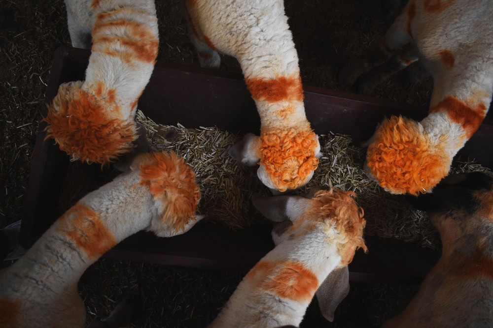 A Look at Life in India