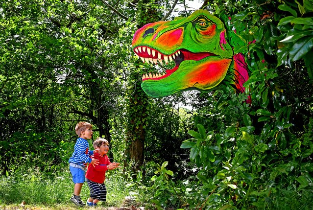 Brothers Leo, 2, and Raphey Almeida, 3, explore on June 25, 2025 a neon-painted T-Rex named King Rexford the Great by artist Laura Alp, part of a vibrant dinosaur trail at Furzey Gardens in the New Forest, UK featuring 50 prehistoric installations among the plants. (Photo by Simon Czapp/Solent News)