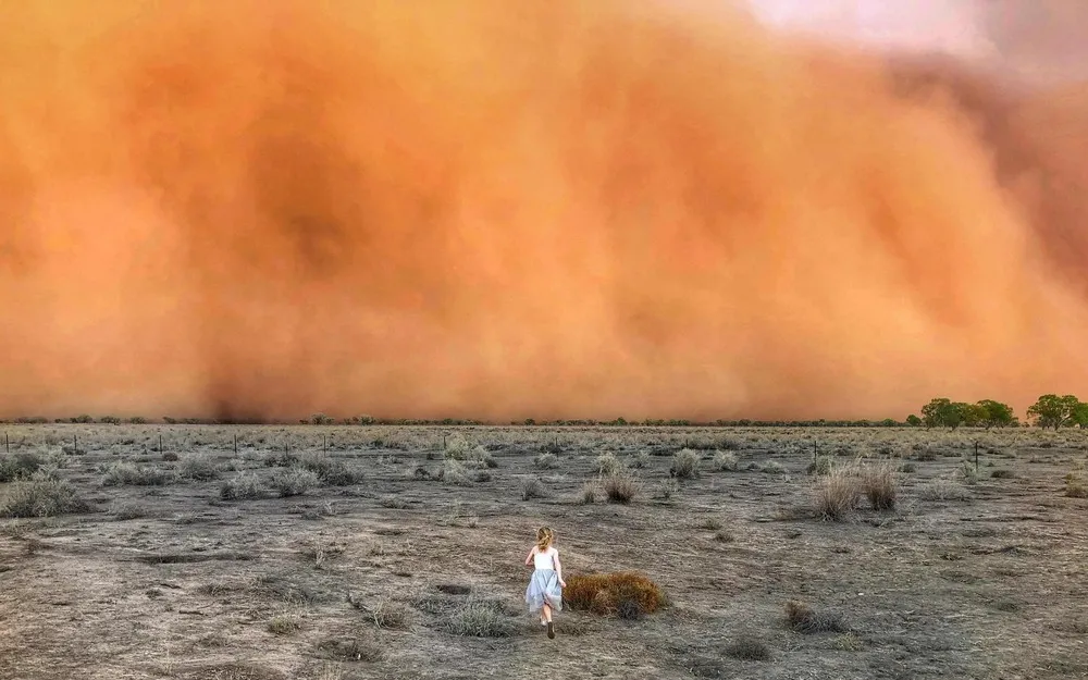 Pictures of the Year 2020, Part 3/82