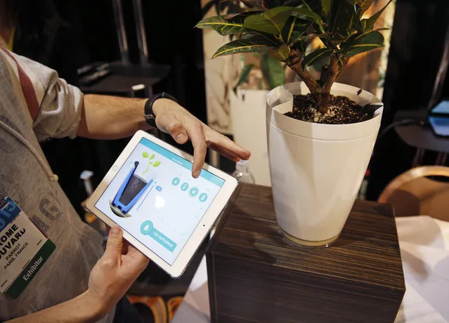Jerome Bouvard demonstrates the Parrot Pot at CES Unveiled, a media preview event for CES International, Sunday, January 4, 2015, in Las Vegas. The pot is linked to mobile devices and will automatically water your plant. (Photo by John Locher/AP Photo)