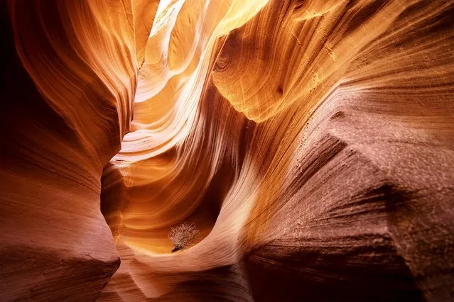 Sandstone sculpted by water and wind erosion is seen in a slot canyon, one of hundreds that surround Lake Powell near Page, Arizona, May 26, 2015. (Photo by Rick Wilking/Reuters)