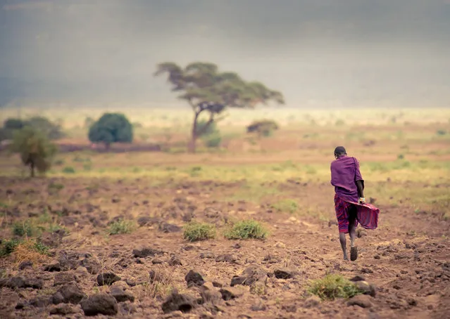 “On the move”. A lonely Massai walking in the desert. Location: Kenya, Ambosseli. (Photo and caption by Romana Wyllie/National Geographic Traveler Photo Contest)