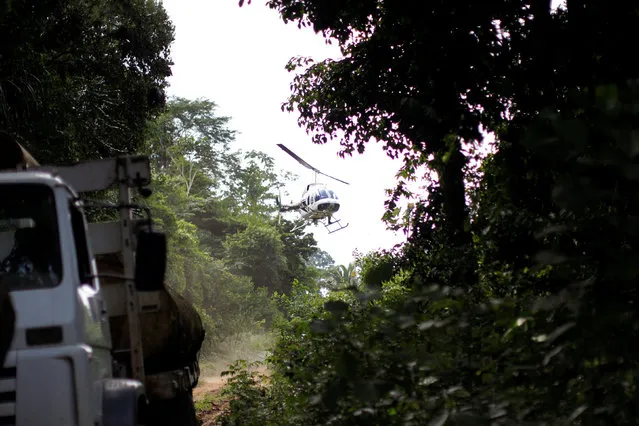 A Brazilian Institute for the Environment and Renewable Natural Resources, or Ibama, helicopter intercepts a man driving a truck loaded with tree trunks during an operation to combat illegal mining and logging, in the municipality of Novo Progresso, Para State, northern Brazil, November 11, 2016. (Photo by Ueslei Marcelino/Reuters)