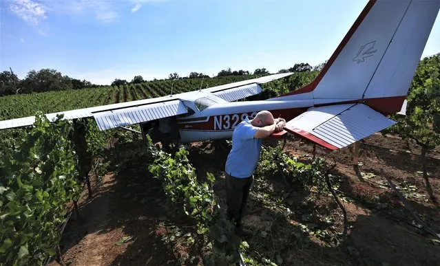 William Tomkovic collects his thoughts after walking away uninjured after making an emergency landing of a Cessna plane in Ukiah, California on August 19, 2023. (Photo by Kent Porter/The Press Democrat via AP Photo)
