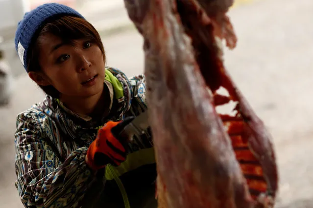 Hunter Chiaki Kodama guts a deer in a shed in Oi, Fukui Prefecture, Japan, November 17, 2016. (Photo by Thomas Peter/Reuters)