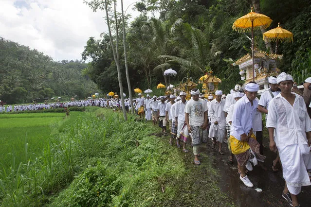 Balinese Hindus carry “Pratima” or a symbol of God during a purification ritual at an annual temple ceremony at Besakih Temple in Karangasem, Bali, Indonesia, 01 April 2015. The temple located about 70 km east of the Balinese capital of Denpasar is the largest Hindu temple in Indonesia's resort island of Bali and visited by devotees from all over Bali each year. (Photo by Made Nagi/EPA)