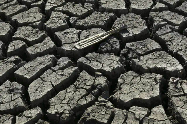 A boat paddle is shown on the bottom of the nearly dry Almaden Reservoir near San Jose, January 21, 2014. (Photo by Robert Galbraith/Reuters)