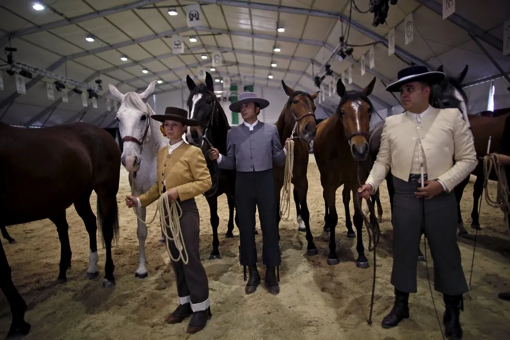 Sacab Andalusian Horse Show