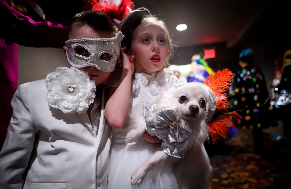 New York Pet Fashion Show 2019