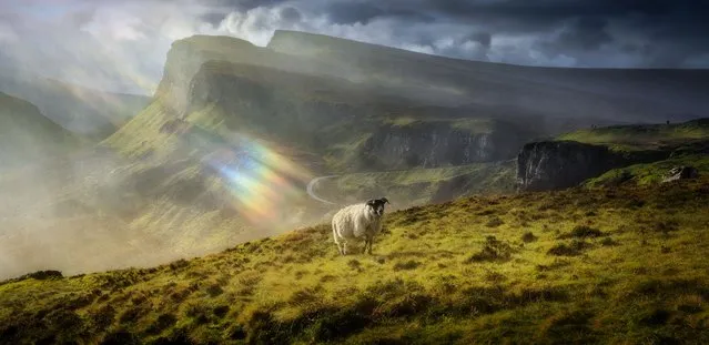 “Sun Shower”. A rainbow of colours shines directly on to a sheep on the Isle of Skye. (Photo by Calvin Downes/Royal Meteorological Society’s Weather Photographer of the Year Awards)