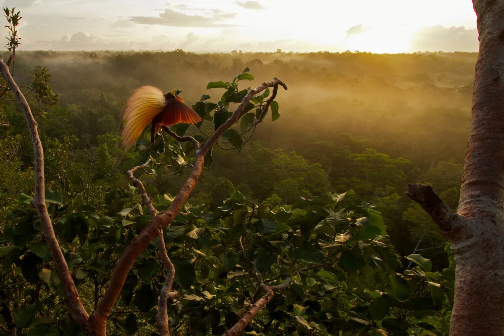 Cop26 Photographic Competition 2021