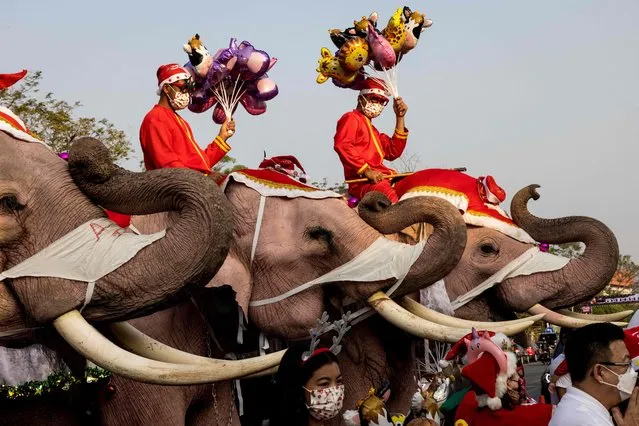 Mahouts and their elephants pose for children during Christmas celebrations at the Jirasart Witthaya school in Ayutthaya on December 24, 2021. (Photo by Jack Taylor/AFP Photo)