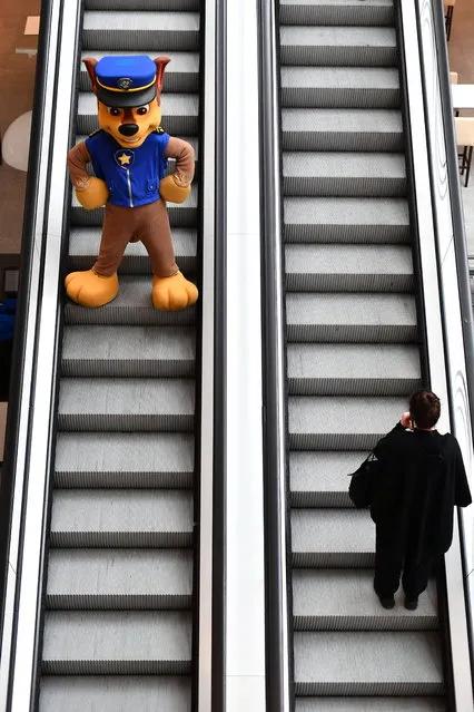 A person dressed in a PAW Patrol character costume takes the escalator at the 2023 International Toy Fair Press Preview in Nuremberg, Germany, 31 January 2023. The largest international toy fair opens its gates from 01 to 05 February 2023. (Photo by Anna Szilagyi/EPA)