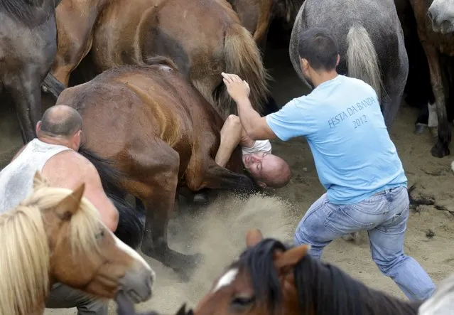 Reveller tries to hold on to a wild horse during the “Rapa das Bestas” traditional event in the village of Sabucedo, northwestern Spain July 4, 2015. (Photo by Miguel Vidal/Reuters)
