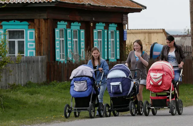 Local women push carts with their babies while walking along a street in the village of Malaya Inya, Minusinsk district of Krasnoyarsk region, Siberia, Russia, May 21, 2016. (Photo by Ilya Naymushin/Reuters)