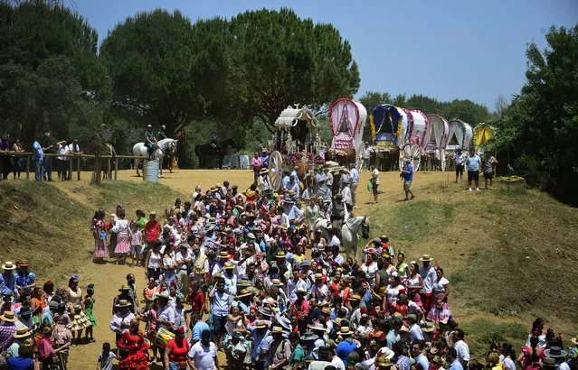 Pilgrims walk followed by wagons moments before crossing the Quema river during the annual El Rocio pilgrimage in Villamanrique, near Sevilla on June 1, 2017. (Photo by Cristina Quicler/AFP Photo)
