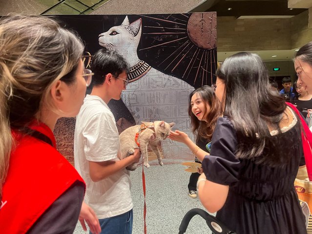 Feline and human visitors interact at the entrance hall of Shanghai Museum's “Meow Night”, in Shanghai, China, on August 31, 2024. (Photo by Casey Hall/Reuters)