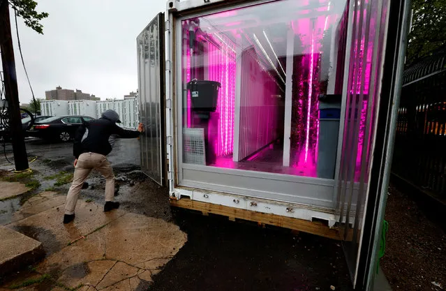 Farmer Erik Groszyk opens the doors of his hydroponic climate controlled farm, one of 10 repurposed 320-square-foot metal shipping containers where entrepreneur farmers enrolled in the “Square Roots” farming program are growing and selling a variety of greens in the parking lot of a former Pfizer factory in the Brooklyn Borough of New York City, U.S. on May 5, 2017. (Photo by Mike Segar/Reuters)