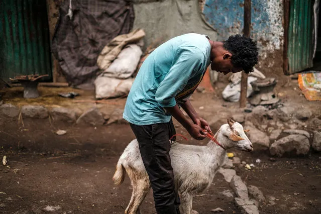 A man holds a goat as they prepare to slaughter it as part of the festivities of the Ethiopian Orthodox Easter, in the city of Lalibela, Ethiopia, on April 24, 2022. The Ethiopian Orthodox Easter, known as Fasika in Amharic, is the celebration of the resurrection of Jesus and it represents one of the most important festivities in the religion. It also marks the end of the longest fasting period among its devotees whom for 55 days did not consume any meat nor animal products. (Photo by Eduardo Soteras/AFP Photo)