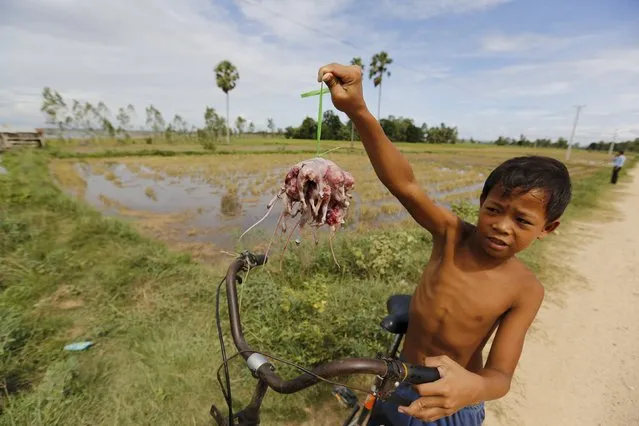 A Cambodian child poses with rats he skinned after catching them in a rice field in Takeo province, south of Phnom Penh August 11, 2015. (Photo by Samrang Pring/Reuters)