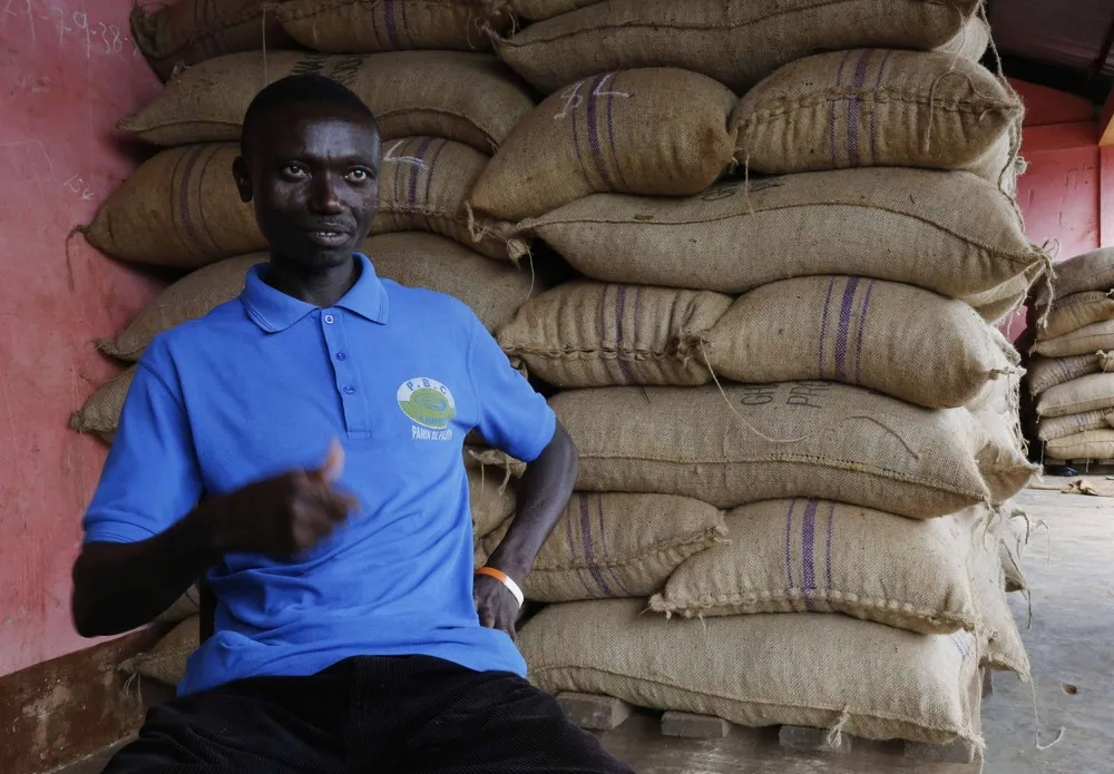 Cocoa Trouble in Ghana