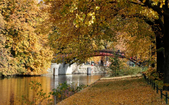 Autumnal trees are pictured at the embankment of the Spree river in Berlin, Germany, October 15, 2019. (Photo by Fabrizio Bensch/Reuters)