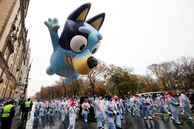 The Bluey balloon flies during the 98th Macy's Thanksgiving Day Parade in New York City on November 28, 2024. (Photo by Eduardo Munoz/Reuters)