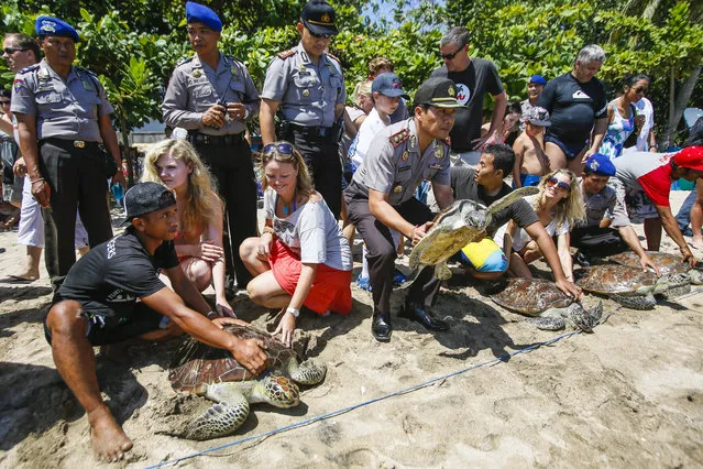 Tourists join Bali Marine Police in releasing sea turtles at a beach in Kuta, Bali, Indonesia, August 13, 2014. Bali police officers released dozens of sea turtles back into the wild after they were seized from poachers. (Photo by Made Nagi/EPA)